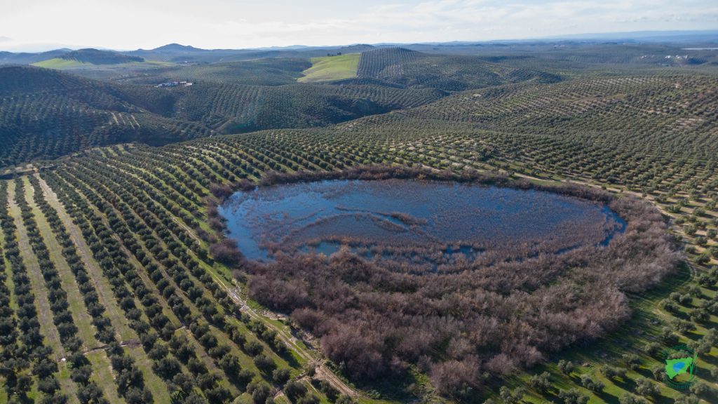 Laguna de Argamasilla