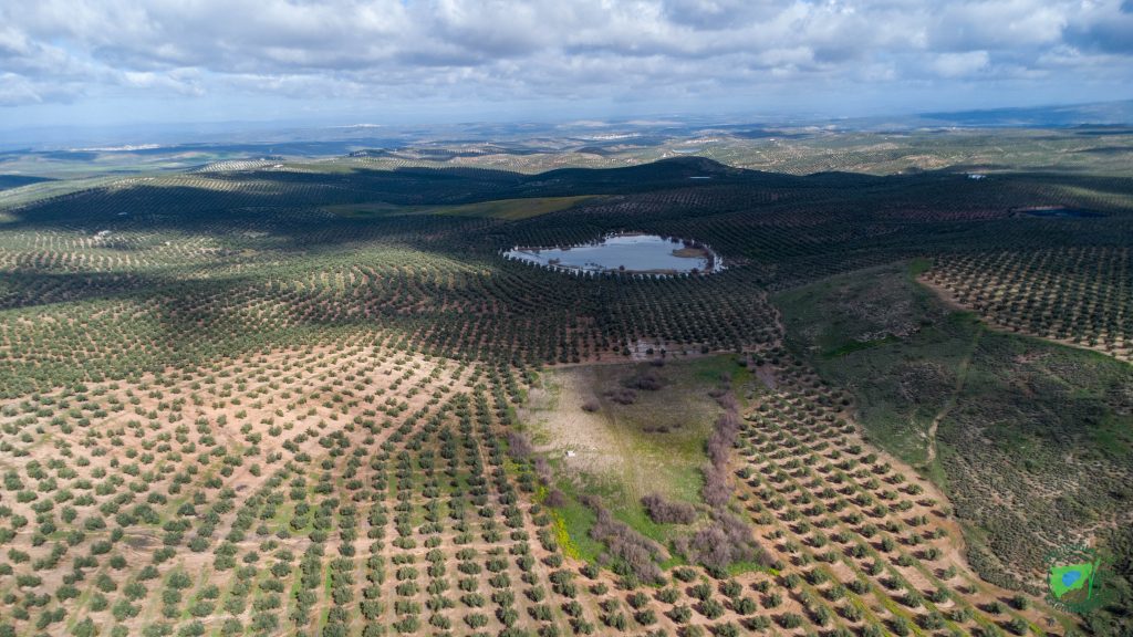 Lagunas de Brujuelo y Cirueña